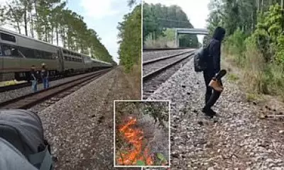 Amtrak Passengers Trapped for Over 24 Hours in Florida Due to Brush Fire