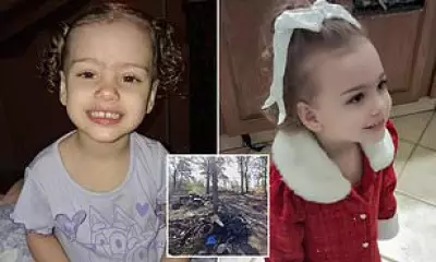 Arkansas Toddler Mauled to Death by Stray Dog Despite Six Adults Present