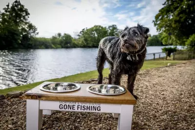 Bob Mortimer 'Very, Very Sad' After Death of Gone Fishing Dog Ted