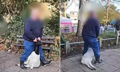 Bournemouth Goats Faces Outrage Over Disturbing Animal Cruelty Video