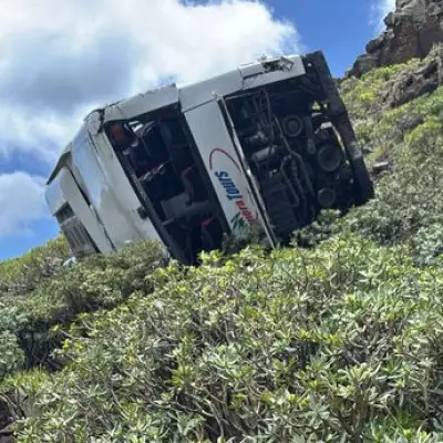 British Tourist Killed in Canary Islands Bus Crash Amid Brake Failure Probe