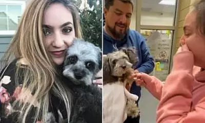 California Woman Reunited with Dog After Five-Year Disappearance
