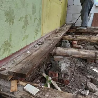 Couple's Dream Home Turns to Nightmare After Finding Invasive Plant Under Floorboards