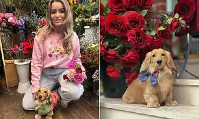 Dachshund Earns £4,600 Monthly, Funding Owners' £50k Wedding Dream