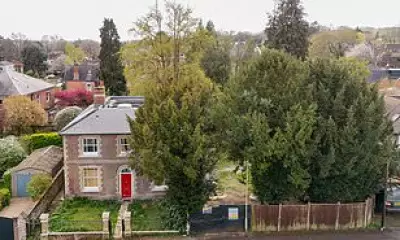 Developer's Bid to Fell Protected Yew Trees Sparks Neighbourhood Fury in Winchester