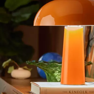 Dusk's Retro Mushroom Lamp Earns Rave Reviews for Vibrant 70s Style