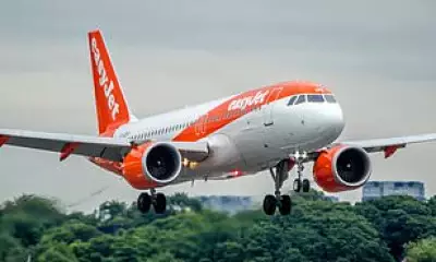 EasyJet Flight Aborts Paris Landing After Wedding Fireworks Near Runway