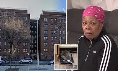 Elderly Cancer Survivor's Rat-Infested Bronx Apartment Nightmare