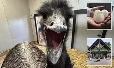 Emu Killed by Softball-Sized Hail in Devastating Missouri Storm