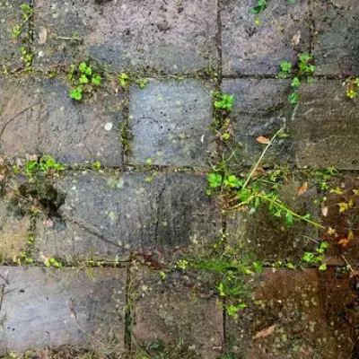 Expert Reveals How to Clean Patios Without a Pressure Washer