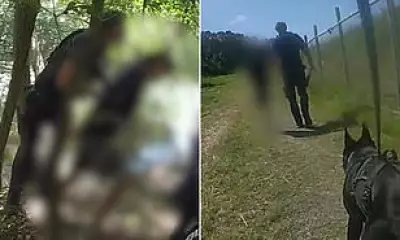 Five Teens Arrested After 24-Hour Crime Spree in Queensland