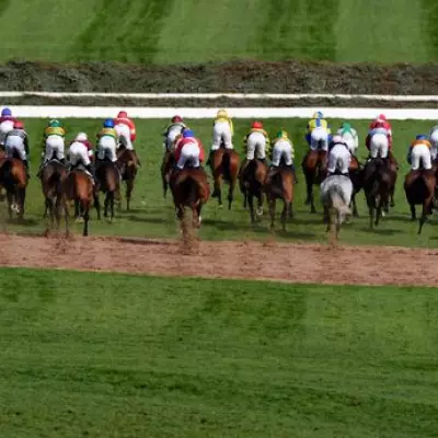 Grand National 2026: I Am Maximus Wins, Two Horses Die at Aintree Festival