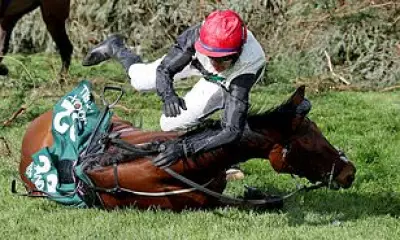 Grand National Jockey Banned for Riding Tired Horse to Final Fence Fall