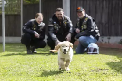 Guide Dogs Charity Seeks Biker Volunteers to Train Puppies for Real World