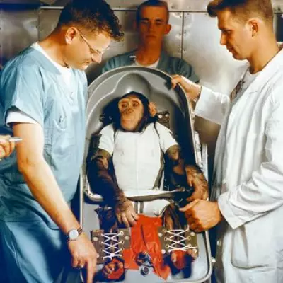 Ham the Chimp: The First Ape in Space Who Paved Way for Human Exploration