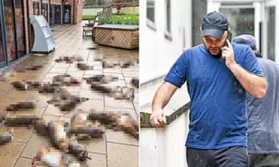 Hampshire Village Horror: Man Dumps 50 Hare Carcasses Outside Shop