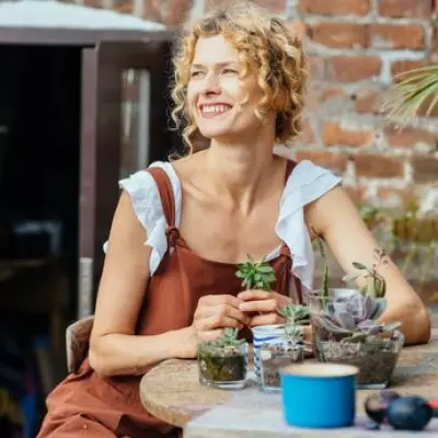 Home Bargains' 79p Bird Garden Stake Adds Fun to Gardens