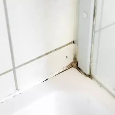 Homemade 3-Ingredient Solution Banishes Shower Mould and Water Marks