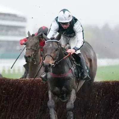 L'Homme Presse Ruled Out of Grand National Due to Minor Injury