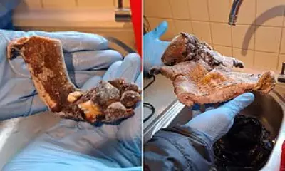 London Man Arrested After 11kg Illegal Bushmeat Haul Seized in Peckham