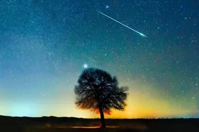Lyrid Meteor Shower Peaks This Week: Best Viewing Tips Revealed