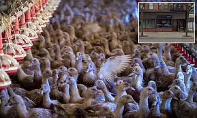 Massachusetts Protesters Target Restaurants Over Foie Gras, Forcing Some to Remove It