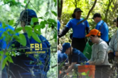 Memphis Mystery Deepens: Children's Remains Found in Wooded Area After Years