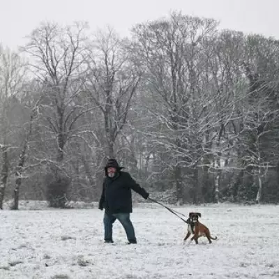 Met Office Warns of Snow Storm and Temperature Plunge Across UK Regions