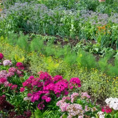 Monty Don's April Gardening Tip: Grow Lettuce in Just Six Weeks