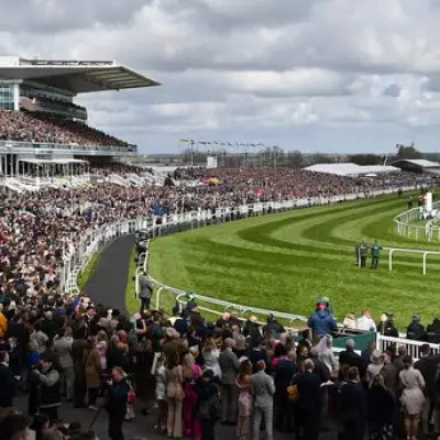 Newsboy's Aintree Tips: Maestro Conti Leads Triumph Hurdle Quintet in Grand National Festival