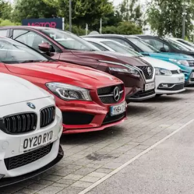 RAC Drive Warns of Rodent Infestation in Unused Cars During Holidays