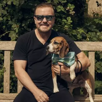 Ricky Gervais Supports Historic Plan to Rescue 2,000 Beagles from US Lab Testing Facility