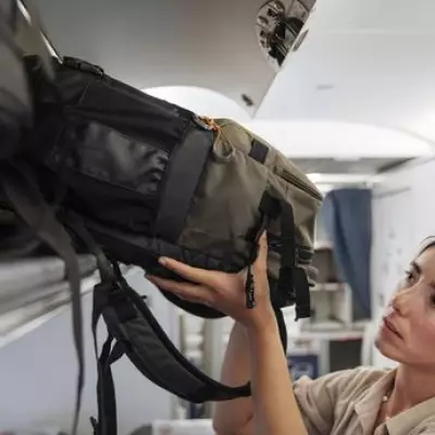 Ryanair's Unusual Hand Luggage Allowances: From Ashes to Parachutes