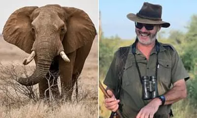 Safari Owner Killed by Elephant After Vowing Never to Shoot One