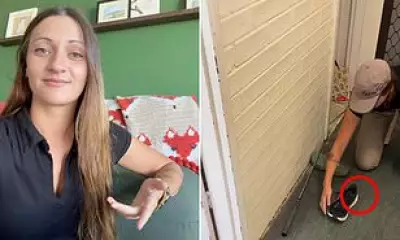 Snake Catcher's Shoe Warning: Deadly Reptile Found in Running Sneaker