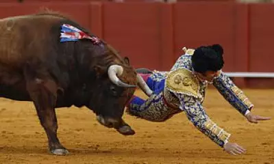 Spanish Matador Morante de la Puebla Suffers Severe Rectal Injury in Bull Goring