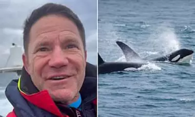 Steve Backshall's Thrilling Encounter with UK's Last Resident Orcas in Cornwall