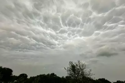 Study Says Americans Overcharged $150B on Insurance, Urges Federal Action