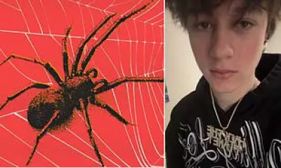 Teen hacker who mocked FBI arrested in Finland, charged in cyber heists