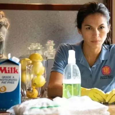 The Cleaning Lady Finale Explained: Thony's Fate and Netflix Success