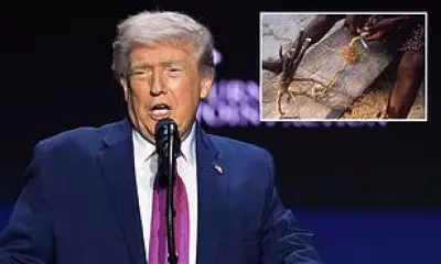 Trump Plans Executive Order to Boost Psychedelic Research for Mental Health