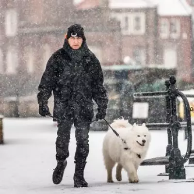 UK Snow Maps Show 84-Hour Blast Hitting 17 Counties Within Days