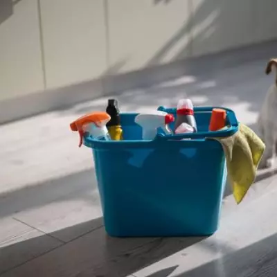 Vets Issue Urgent Warning Over Cleaning Products That Cause Pet Burns