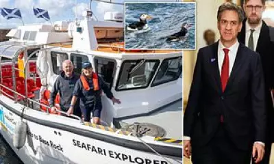 Wind Farm Threatens Scotland's Puffins and Seabird Colonies