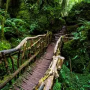 10 Fairytale UK Locations for a Day Out Amid Rising Travel Costs