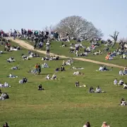 21-Year-Old Man Fatally Stabbed in Primrose Hill Fight, Second Victim Injured