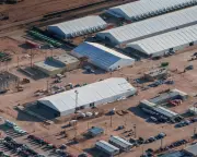 86-Year-Old French Woman Detained by ICE After Moving to US for Love