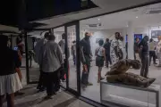 Abidjan Art Week Transforms City into West Africa's Cultural Epicentre