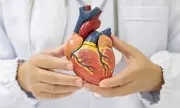 AI Heart Scan Breakthrough Predicts Heart Failure Risk Five Years Early