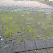 Alan Titchmarsh's Pressure Washer Method Banishes Patio 'Green Slime'